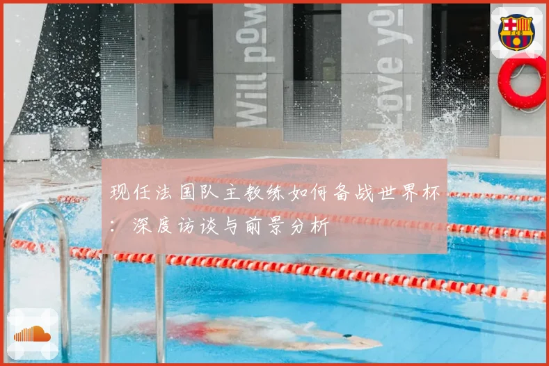 现任法国队主教练如何备战世界杯：深度访谈与前景分析