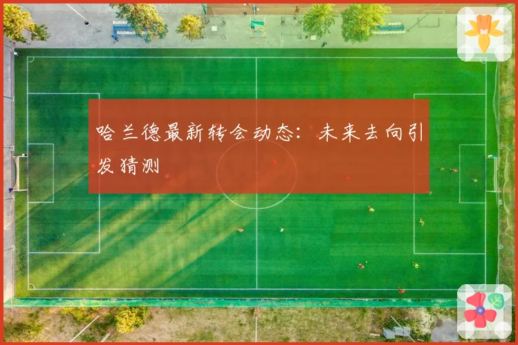 哈兰德最新转会动态：未来去向引发猜测